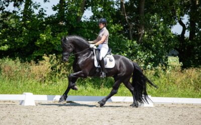 Kije and Hardy Shine in Harlingen!