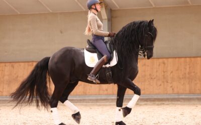 🌟 Zoë en Tanco Schitteren in Hun Eerste Gezamenlijke Prix St. Georges! 🌟