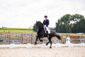 Hardy van Cayenne Stables