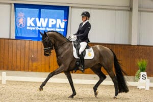 Ogyrieta Texel van Cayenne Stables
