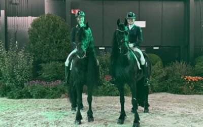 Een Onvergetelijke Avond bij The Dutch Masters: Show van Top Friese Paarden