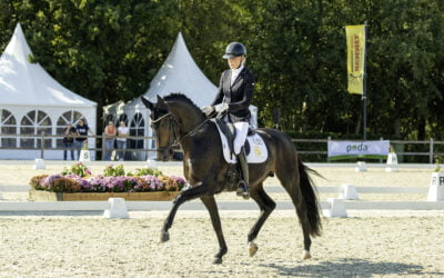 Fransje in Tolbert: What a performance!