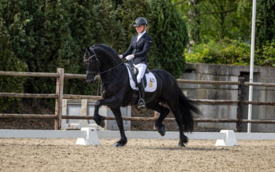 Zoë and Oege are in the finals for young dressage horses at the Hippiade!