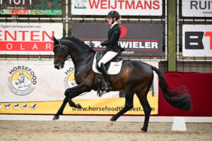 Francis Drake van Cayenne Stables