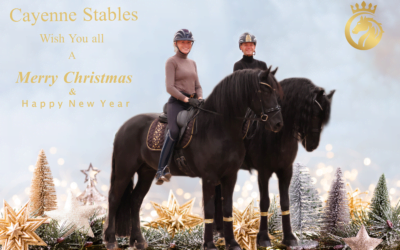 🎄✨ Vrolijke Feestdagen van Cayenne Stables! ✨🎄