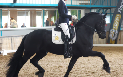 What FANTASTIC news! Our beautiful stallion Oege and star rider Zoë have made it to the FINALS of the Florian Fryso Bokaal 2024!