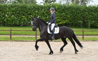 Die Geschichte von Anne Rianne van F en R (Hessel 480 x Beart 411) 🐴
