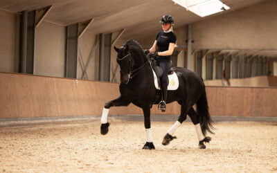 Photoshoot with our new superstar Hendrik is over