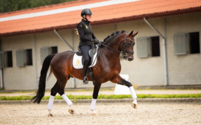 Zoë & Olaf Shine in KWPN Reportage! ✨