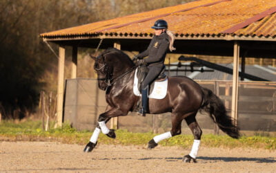 ✨ Tanco & Zoë: Impressive second place at PSG level! ✨