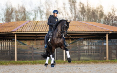 Belevenissen met Tanco: Wat een Topper!
